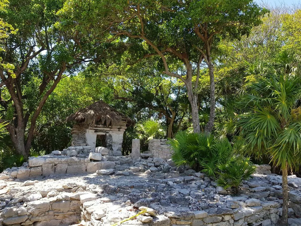 Amate 3 Apartment Playa del Carmen